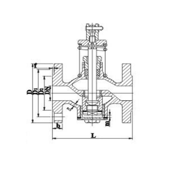 CBT601 DN25 Self Closing Valve.jpg